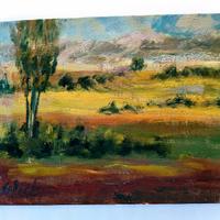 Gadioli Gianfranco – Campagna mantovana