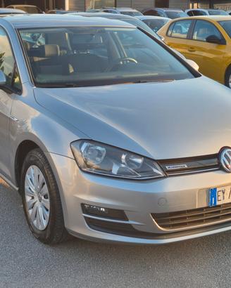 Volkswagen Golf Business 1.4 TGI 5p. Comfortline B