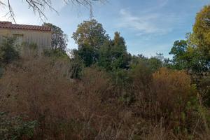 Zona agricola 25 ettari con rustico da restauro