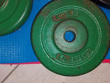 2 dischi pesi 10kg 28mm