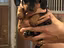 Immagine 6