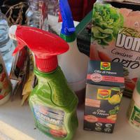 Orto: neem verderame semenzine