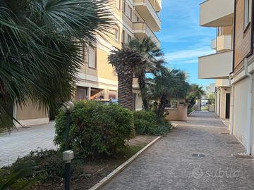Viale kennedy
