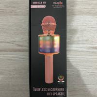 Wireless Microphone Hifi Speaker