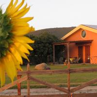 Castelsardo - Vigna e tramonto