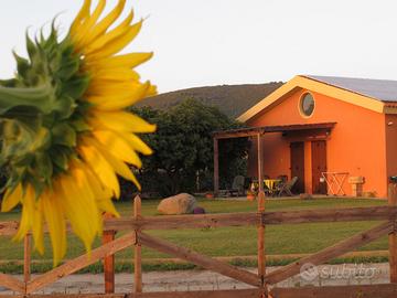 Castelsardo - Vigna e tramonto
