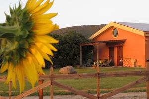Castelsardo - Vigna e tramonto