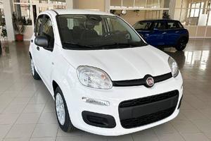 Fiat Panda Pandina 1.0 FireFly 65 CV Hybrid Icon