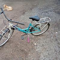 bicicletta 