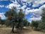 Immagine 12
