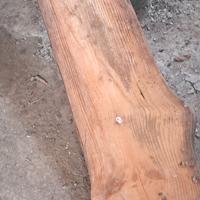 Tavole in legno