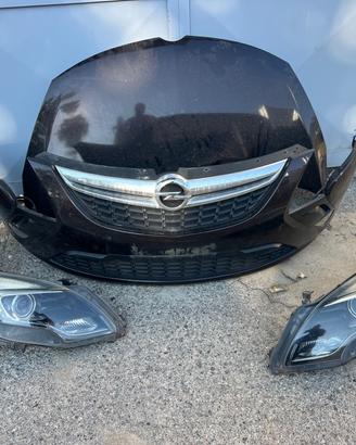 musata zafira 2016