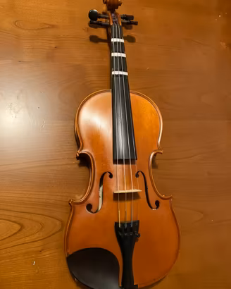 Violino