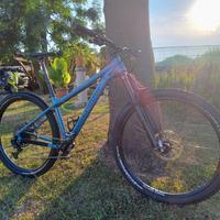 Nukeproof scout 290 tg M