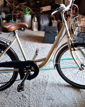 Bicicletta modello olandese .