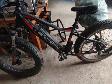 Bicicletta elettrica