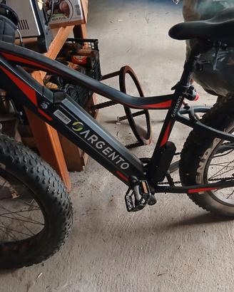 Bicicletta elettrica