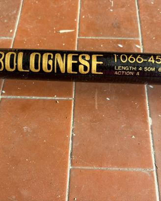 Canna Bolognese Carbonio Vintage