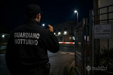 Ricerco lavoro come Addetto alla Vigilanza