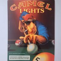 Quadro metallo Vintage Camel