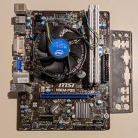 scheda madre MSI H81m-p33 per Jason