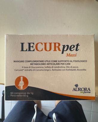Lecurpet maxi
