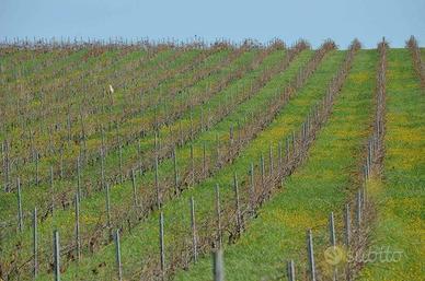 RGE 90/2021 Trib Trapani - LOTTO 3