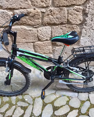 Bicicletta da bambino cerchio 20