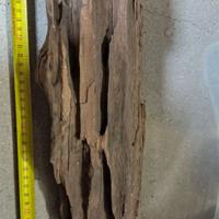 Tronco allestimento acquario