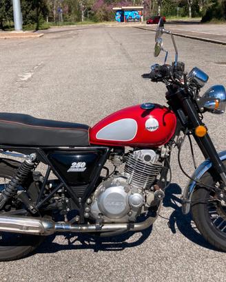 Mash 250 Two Fifty 2015