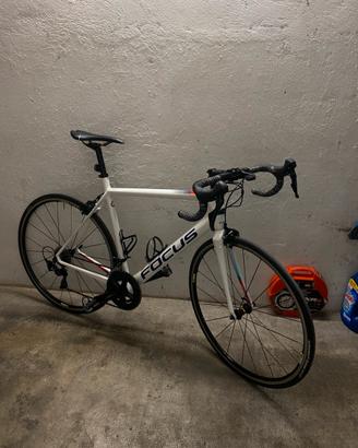 Focus izalco race