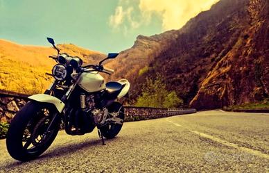 hornet 600 del 2003 
