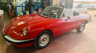 duetto spider alfa romeo