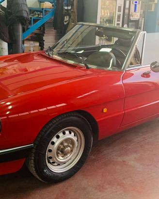 duetto spider alfa romeo