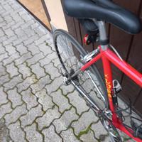 bici da corsa uomo marca Losa 