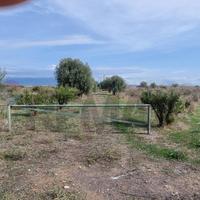 Terreno - Paternò