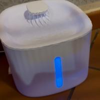 Fontanella per gatti.