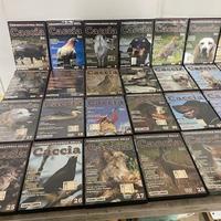 DVD azioni di caccia