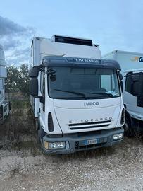 Veicoli daily ed eurocargo