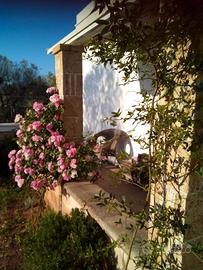 casa singola in campagna  a  2 km da s.marimmobili
