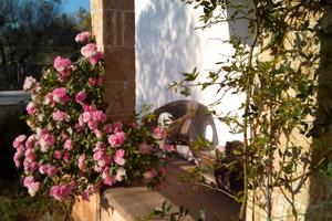 casa singola in campagna  a  2 km da s.marimmobili