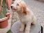 Immagine 2
