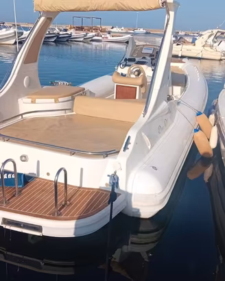 DOMAR D8 – 8,28 M – MERCRUISER 350 MAG – BRAVO ONE