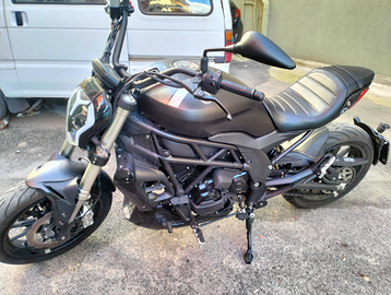 Benelli 502c Cruiser