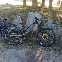 SPECIALIZED DEMO