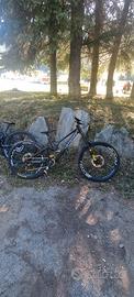 SPECIALIZED DEMO