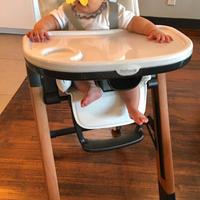 Seggiolone Siesta Wood Peg Perego