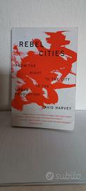 Rebel cities from the right to the city to the ...
