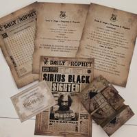Set completo documenti Harry Potter (Replica)