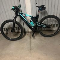 Ebike bisnchi